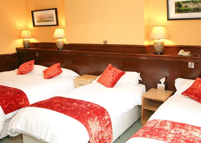 Hibernian House 3* キルケニー